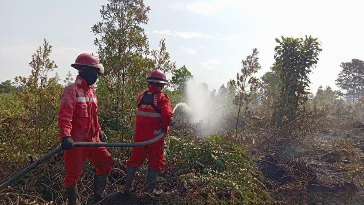 منذ 2 أيام ، لا تزال حرائق الغابات والأراضي تضرب الطريق المؤدي إلى مطار سينغكاوانغ في غرب كاليمانتان