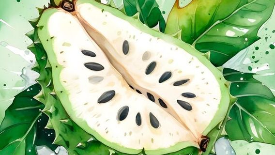 Terdapat Kelompok Orang yang Tidak Dianjurkan Makan Sirsak, Meski Efektif Membunuh Sel Kanker