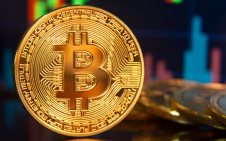 Holder Bitcoin Jangka Panjang Mulai Cuan