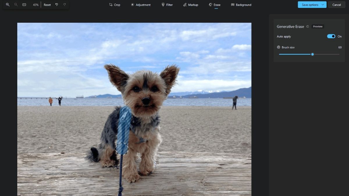 Microsoft Launches Generative Abolition Feature For Photo Apps In Windows 10