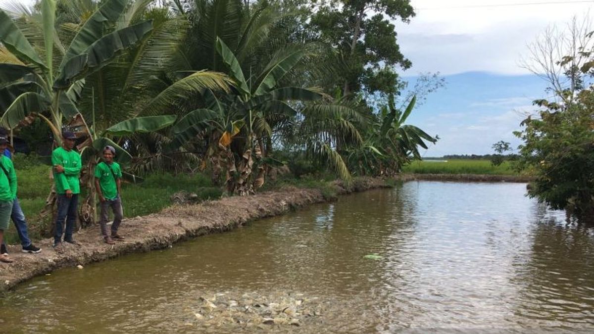 Ditetapkan KKP Sebagai Kampung Ikan Air Tawar, Desa Sebakung di Penajam Bakal Penuhi Kebutuhan Ikan di IKN