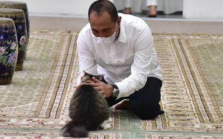 Gubsu Edy Geram Kasus Jagal Kucing di Medan: Rakyatku Tak Boleh Itu, Sangat Buruk