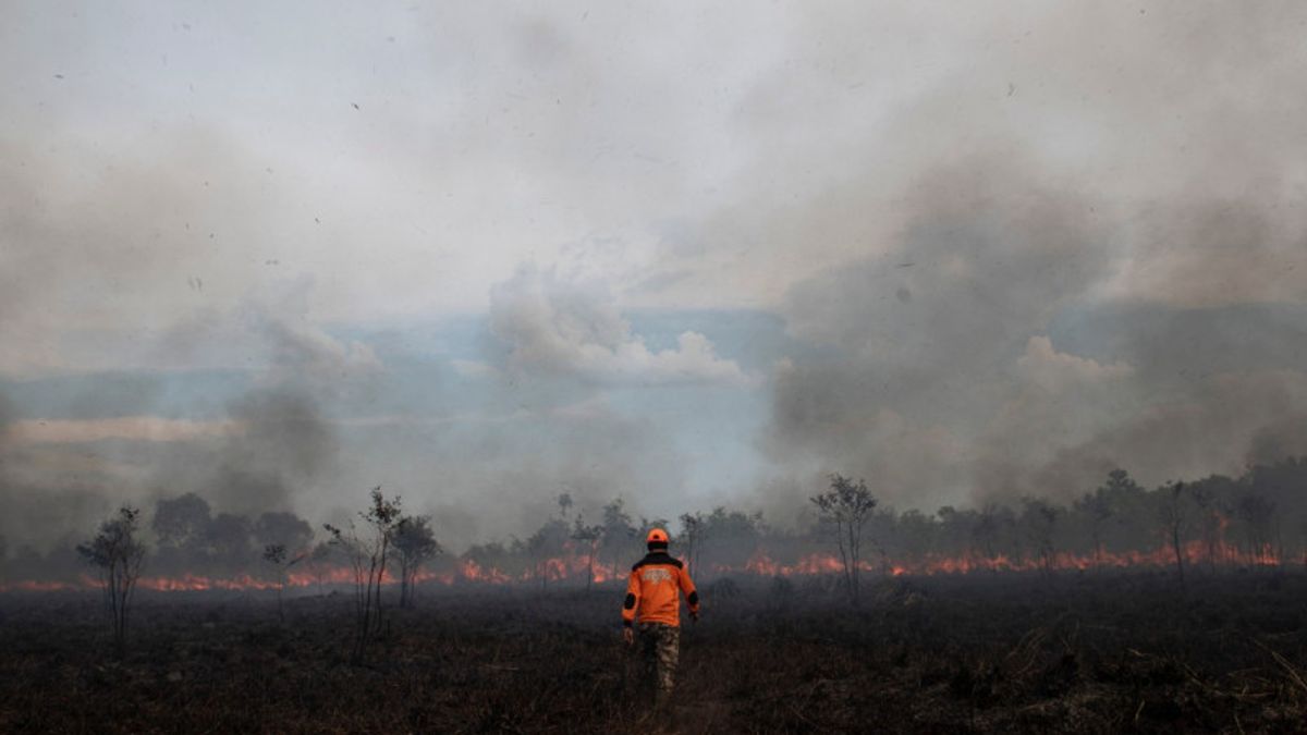 Belasan Hektare Lahan di Ogan Ilir Sumsel Terbakar, Api Sulit Dipadamkan