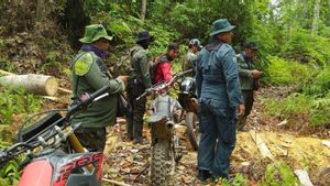 Kemenhut Kantongi Nama Pemilik Kebun Sawit Ilegal di TN Tesso Nilo