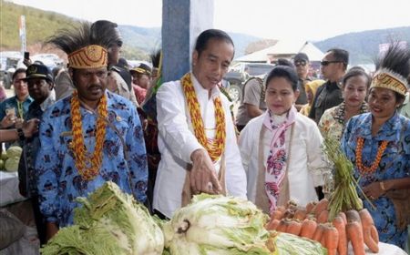 Jokowi 'Bapak Papua', Dianggap Kunci Penyelesaian Konflik