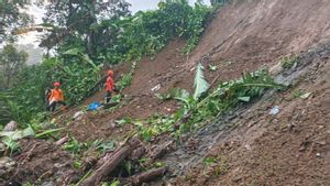 Tragis! Suyoto Tewas Tertimbun Longsor Saat Melintas Cari Rumput di Wlingi Blitar