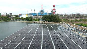 TBS-ヌサンタラパワーとPLNは、バタム島で最初の浮遊式太陽光発電所を建設します