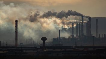 Jalan Panjang Monetisasi Karbon: 26 September Masih Bebas Pajak