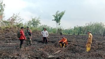 Si Jago Merah Lalap 20 Hektare Lahan Gambut di Muara Enim Sumsel
