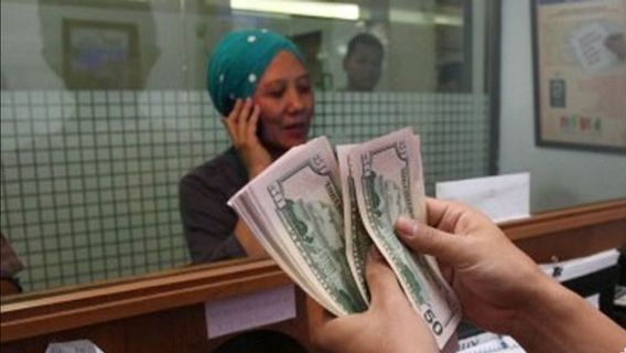 PVA Association Ensures Naughty Money Changer In Bali Ubud Doesn't Have A Permit