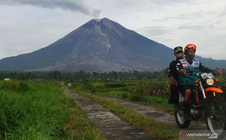 BNPB: Penanganan Bencana Erupsi Semeru Masuki Masa Transisi dari Darurat ke Pemulihan