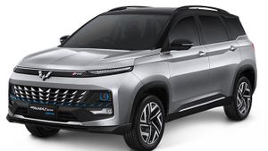 هناك إشارة إلى توفير حوافز هجينة ، Wuling: لا يزال يركز Almaz