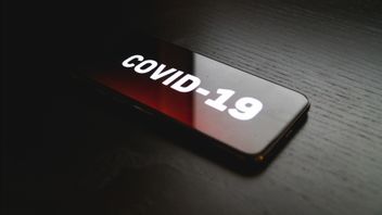 截至11月25日，COVID-19的更新：持续增加，新病例达到5,534的记录