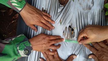 Residents were startled, BKSDA ensures that the trail in East Lampung is not a tiger