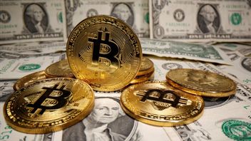 Bitcoin Tembus 107.000 Dolar AS, Investor Diminta Tetap Hati-hati, Jangan Terlalu Euforia