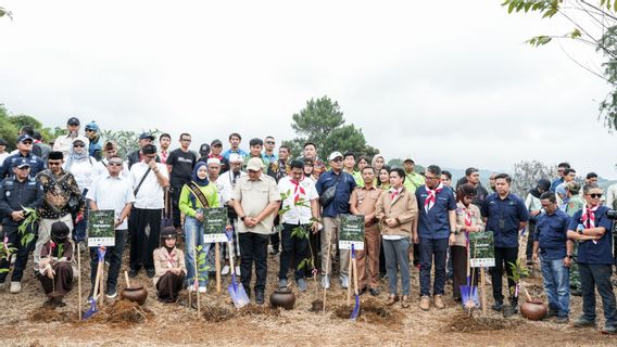 in pour la jeunesse, EIGER Adventure Land et le Ministère de l'environnement, plantes d'espoir pour l'écotourisme au sommet