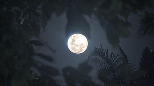 Gerhana Bulan Supermoon Sumut, Apakah Dapat Dilihat?