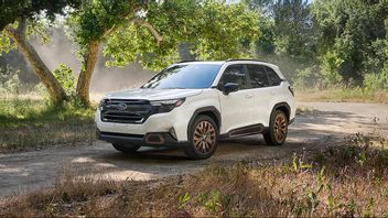 Subaru Recall 20,366 Crossover Forester In The US Because Of This