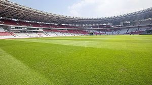 Timnas Indonesia Siap Jamu Jepang dan Arab Saudi di SUGBK, Rumput Stadion Dipastikan Prima