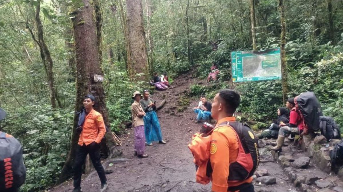 負傷したジャカルタ起源のケリンチ山登山家を避難させるSARチーム