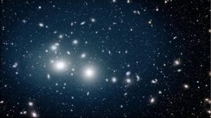 厄克利德望远镜在佩尔塞乌斯星系系群中发现了1.5万亿耶利米五角大楼星星