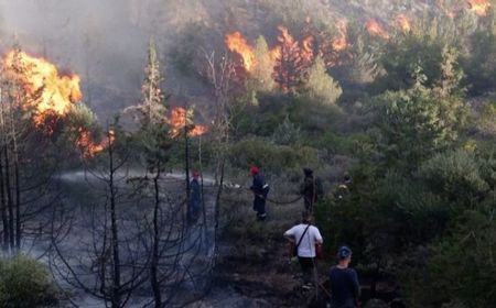 KLHK Klaim Luas Kebakaran Hutan dan Lahan di Indonesia Turun 43 Persen pada 2022