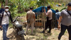 Personel Gabungan Sidak Tambang Emas Ilegal di Banyuwangi, 4 Mesin Dompeng Disita