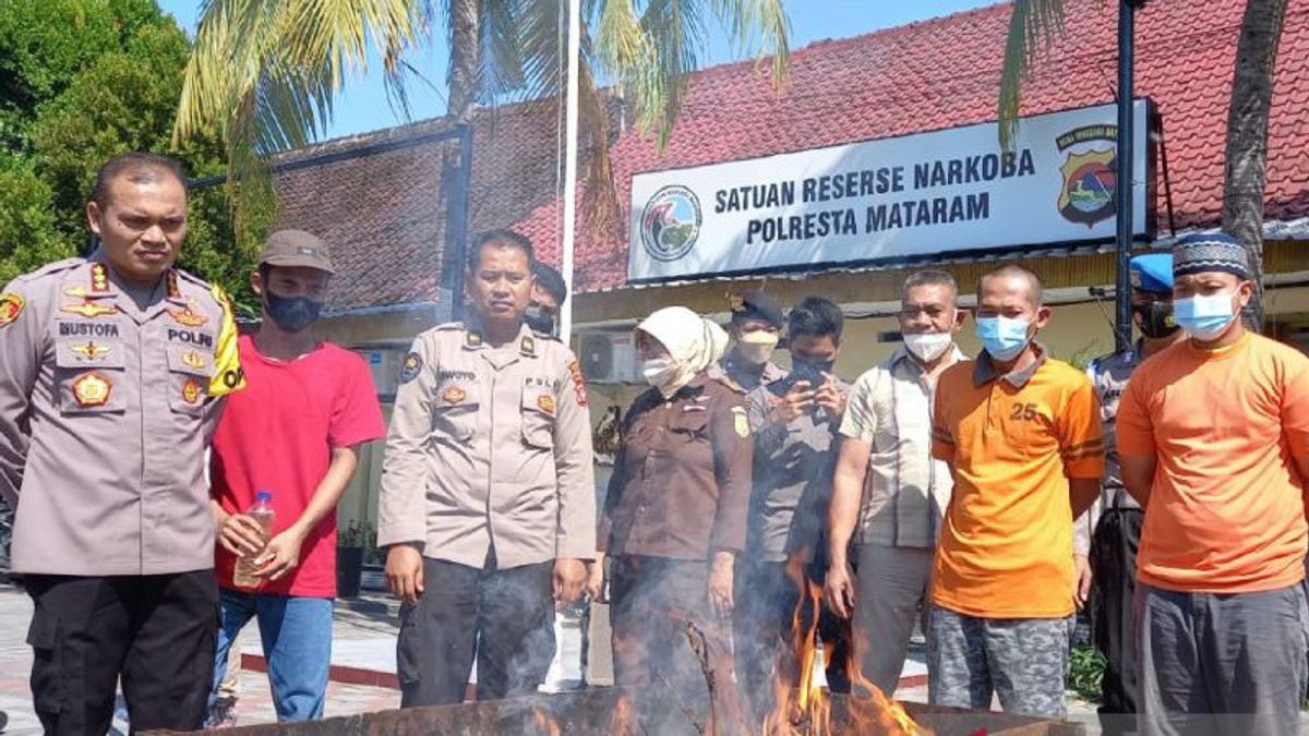 Mataram Police Destroyed Over 70 Grams Of Cannabis Packages Sent From Pekanbaru