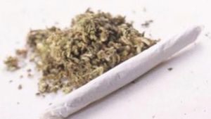 Rumah Produksi Kopi Ganja Digerebek Polres Cimahi, Dijual di Indonesia dan Thailand