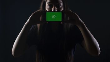 Penyebab Whatsapp Diblokir Sementara: Lakukan Dua Cara Ini Kalau Ingin Terbebas!