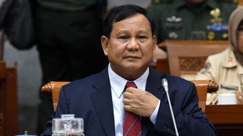 Prabowo's Policy To Continue Jokowi's Economic Foundation Makes Investors Happy