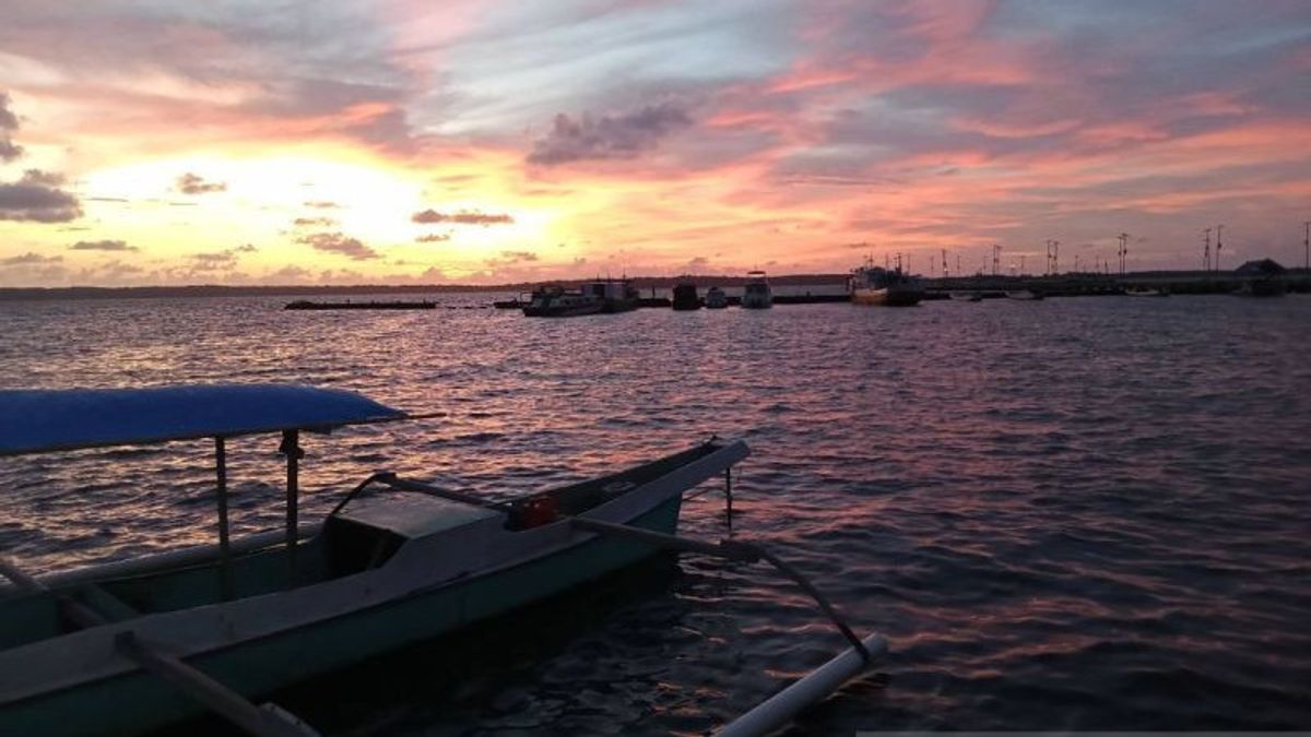 The Octopus Capture Line In The Makassar Sea Is Enforced To Open And Close, YKL Calls To Protect Marine Biota