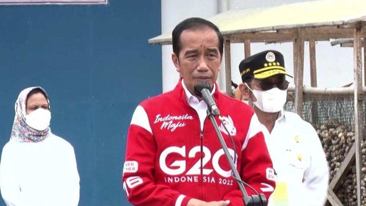 الرئيس جوكوي يطلب من Areca Nut أن تكون سلعة التصدير الرائدة في إندونيسيا