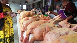 Harga Daging Ayam Ras Naik, Disperindah Jatim Berencana Datangi Produsen Ayam di Sejumlah Daerah