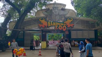 バンドン動物園ボットラムの伝統を維持するために食べ物を持参するための訪問者の許可