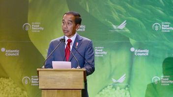 Complete Statement Of The President Regarding Recognition Of Human Rights Violations, Jokowi: I Really Regret It