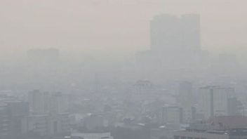空气污染的真正威胁不应低估