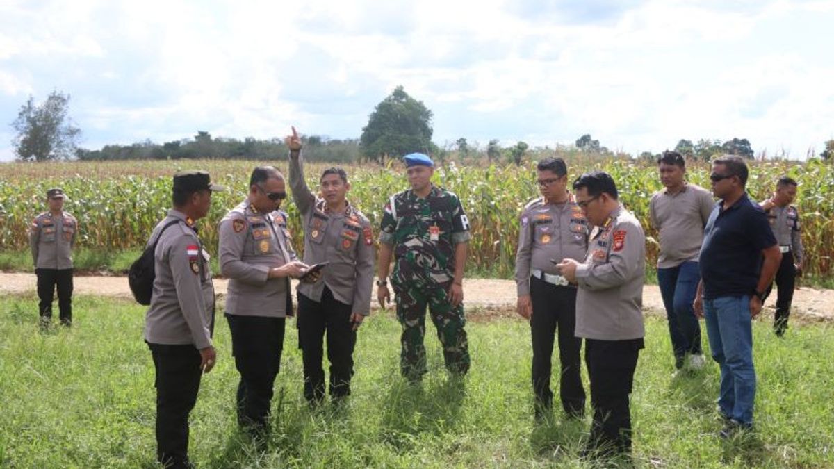 Bengkayang Siap Sambut Prabowo, Panen Raya Jagung Rencananya Dibuka Presiden