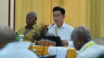 ar! Papouasie recevra 24 nouveaux hôpitaux, Gibran : Pas besoin d'aller à Java!