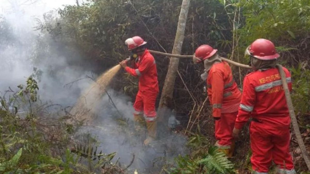 BPBD Sumatra du Sud enregistré 2 994 hectares de terres incendiées période janvier-août 2024