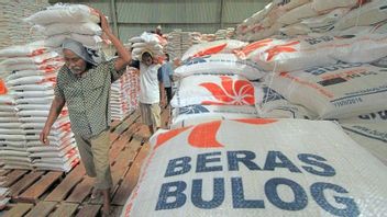 与欧洲竞争,Bulog Curhat难以获得进口大米库存