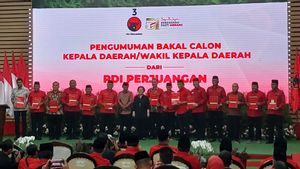 Megawati Berikan Rekomendasi Pengusungan 13 Cagub-Cawagub, Edy Rahmayadi Hingga Danny Pomanto-Azhar 