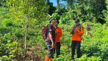 Nenek 74 Tahun Dilaporkan Hilang di Kebun, Tim SAR Gabungan Intensifkan Pencarian