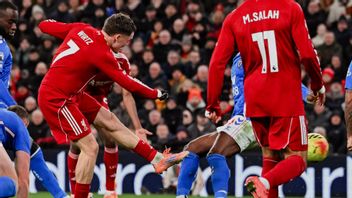 Liverpool Rescued By Sunderland's Suicide Goal
