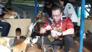 دعم خطاب BPJS للحيوانات ، عضو DPRD DKI Kenneth: ليس كل مالكي الحيوانات من كالانغان قادرين على