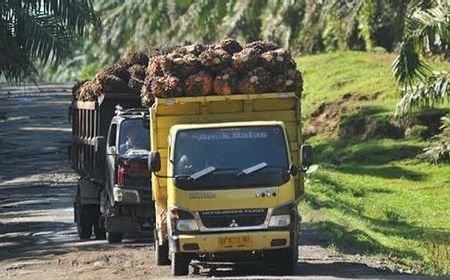 Konflik Agraria Perkebunan Sawit Memakan Korban di Kalteng, SPKS Kecam Aksi Represif Aparat