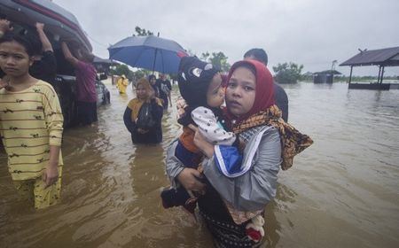 Banjir di Kalimantan Selatan, Jokowi: Segera Kirim Bantuan