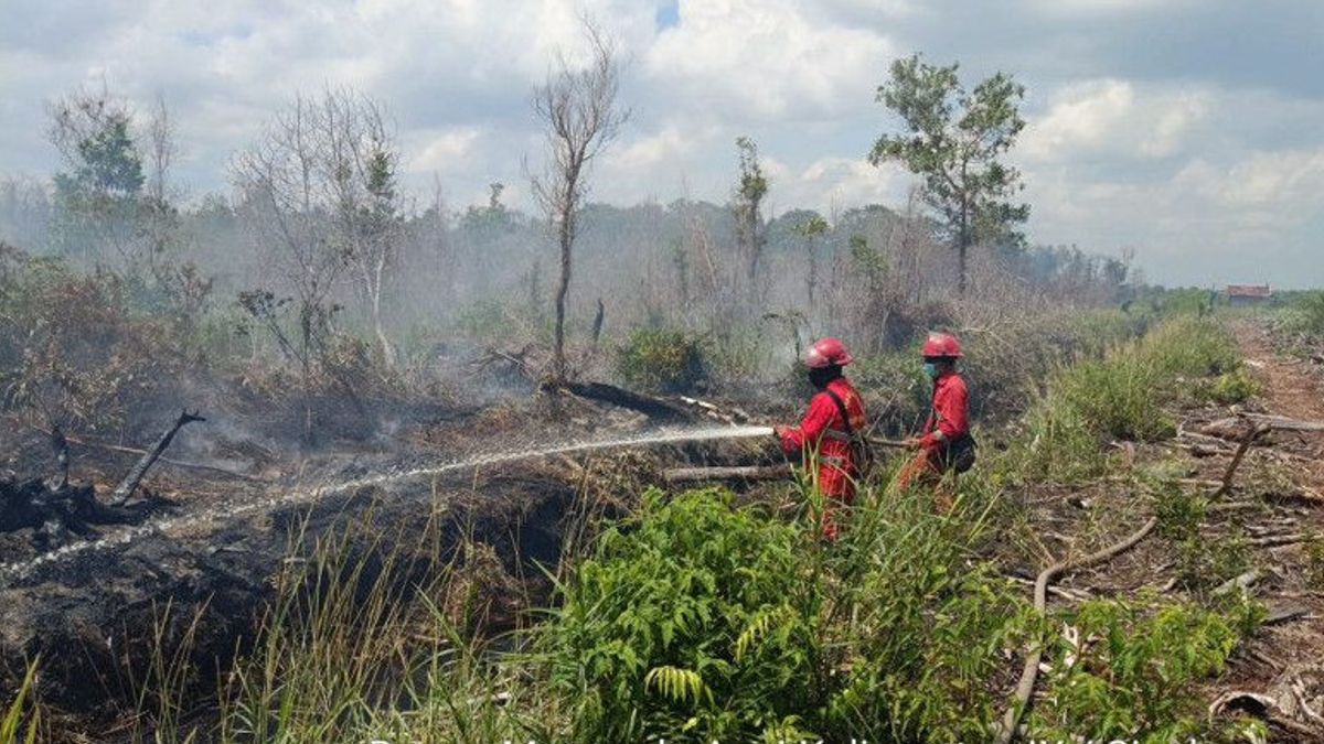 3,5 Hektare Lahan di Singkawang Terbakar