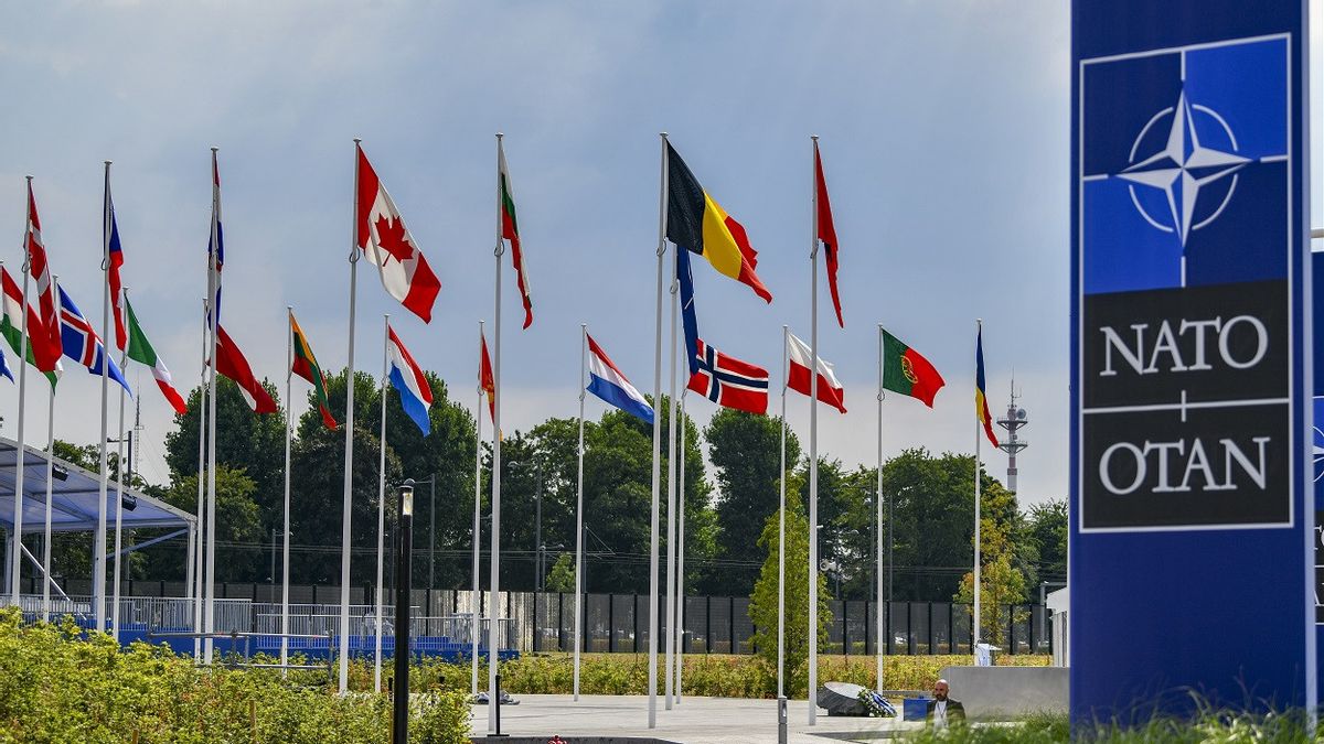 Diplomat Senior Sebut Rusia Tidak akan Menyerang Negara-negara NATO