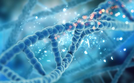 Pembelahan Sel Mitosis: Berikut Uraian Beserta 4 Tahapannya